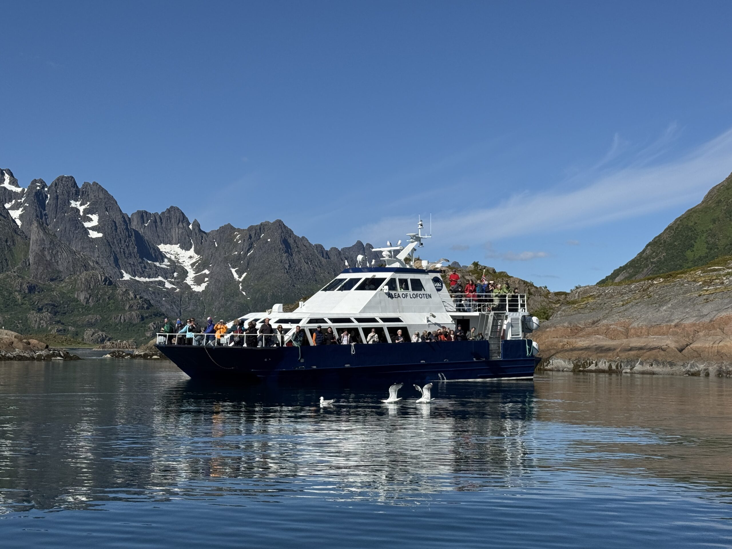 Trollfjord Cruise med "Alea of Lofoten"