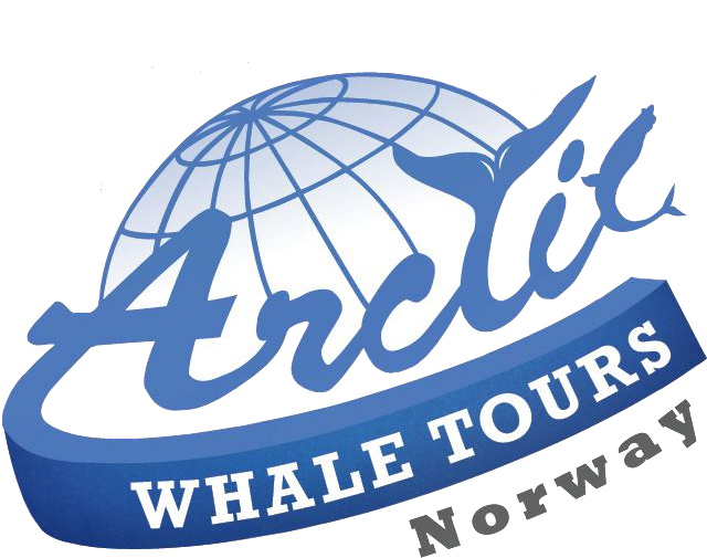 Arctic Whale Tours